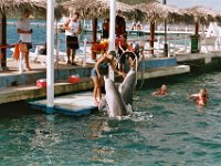 Schwimmen mit Delphinen